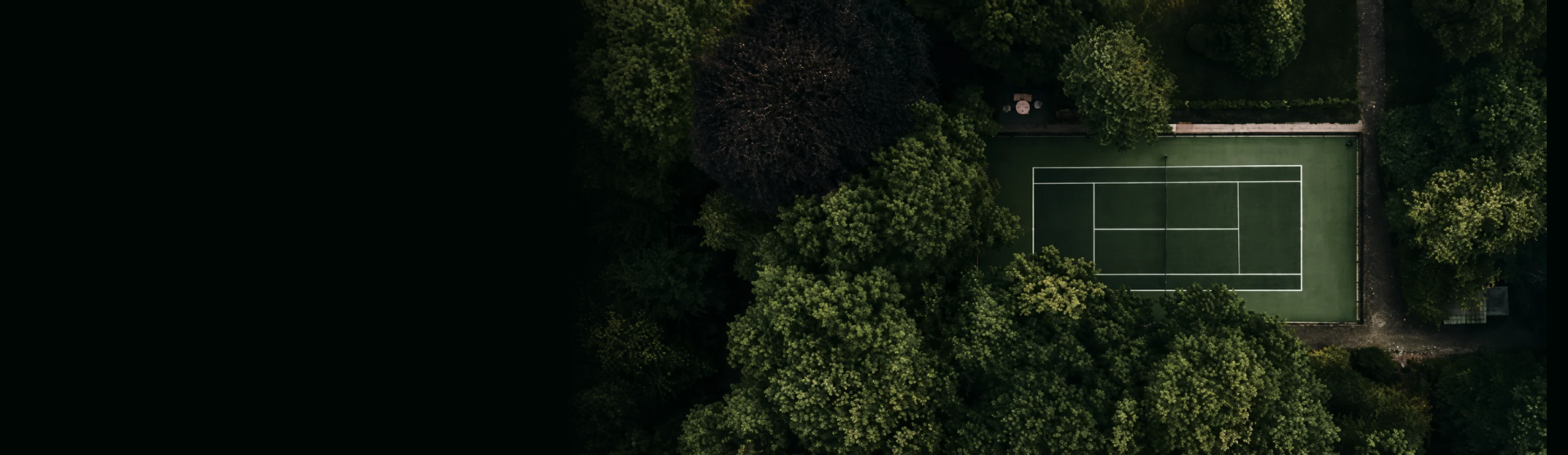 Banner nieuwsartikel DSTF  (2)